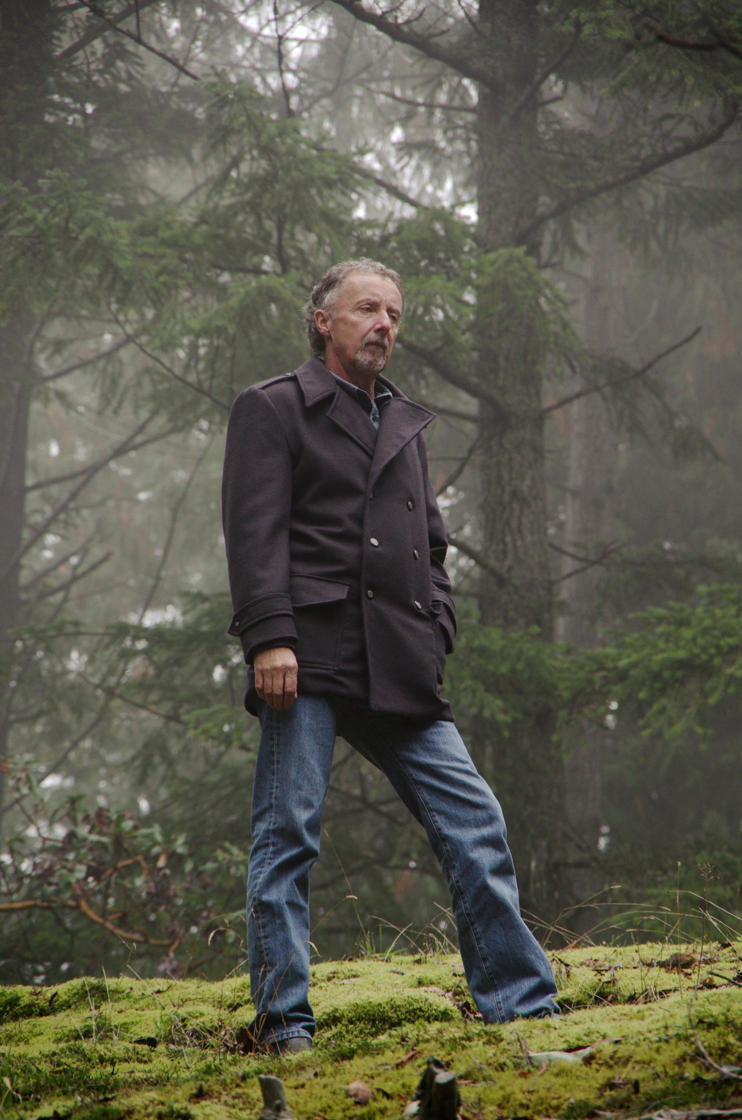 Goldstream Peacoat