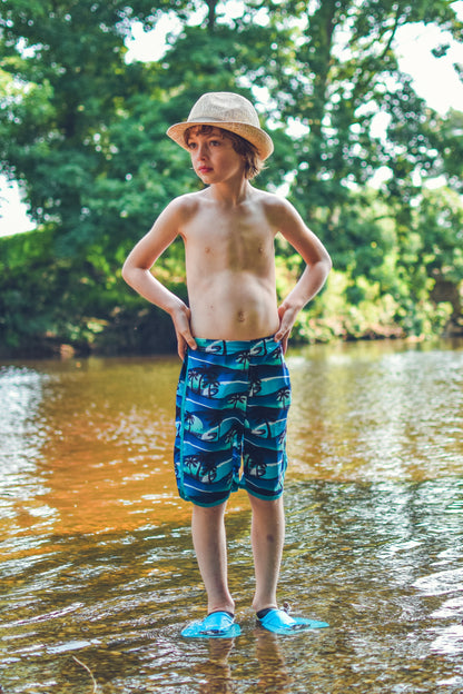 Hang Ten Board Shorts